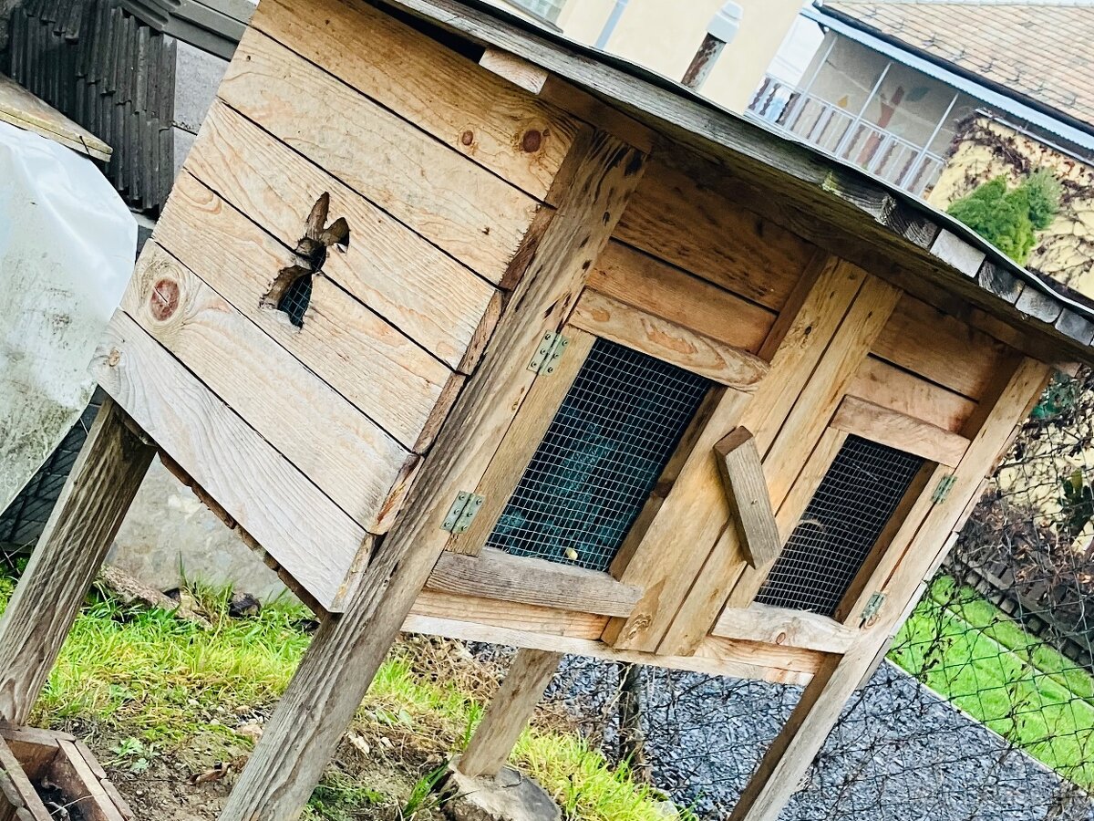 Predam kralikaren - 3