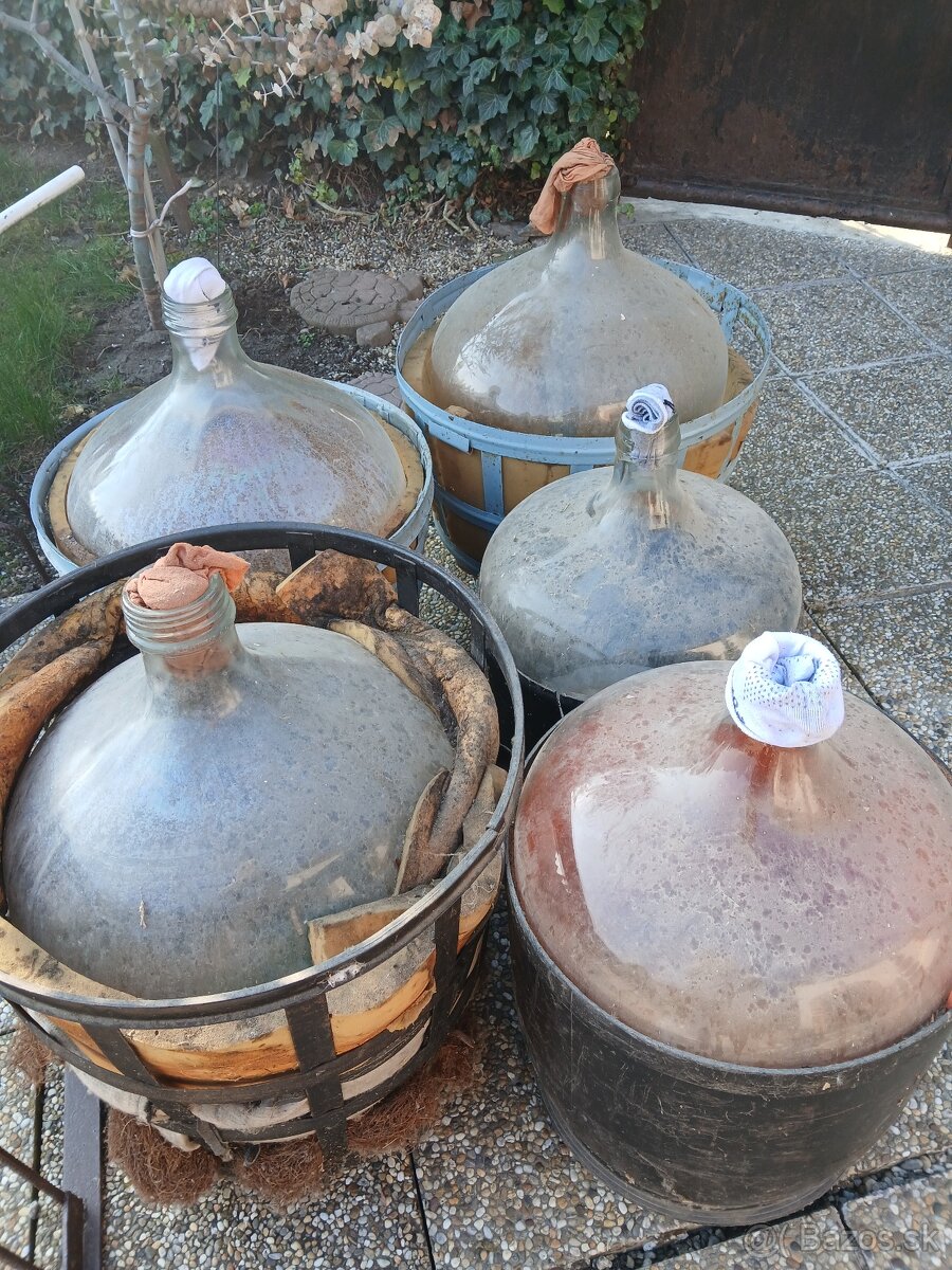 Demižony,lis na hrozno - 3