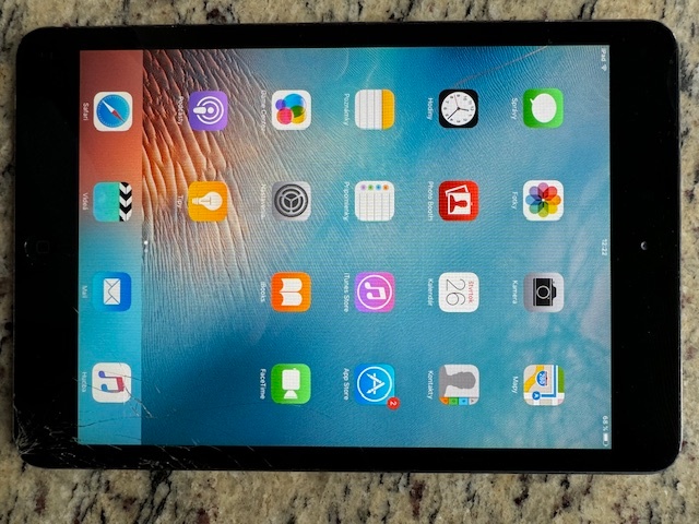 Ipad mini 12,6 GB - 3