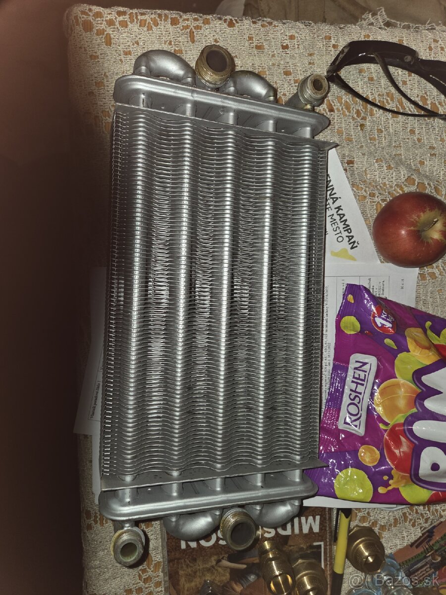 Protherm Rys 23 BTVE vymenik - 3