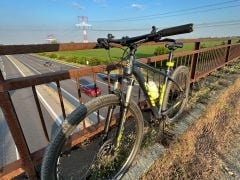 CTM Rambler 3.0 29" - 3