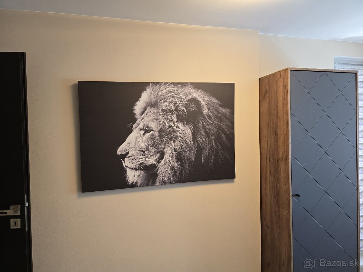 Velky obraz lev - 3