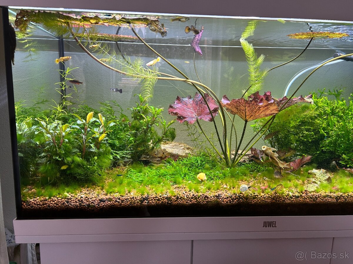 Predám akvariovy set Juwel 190 L - 3