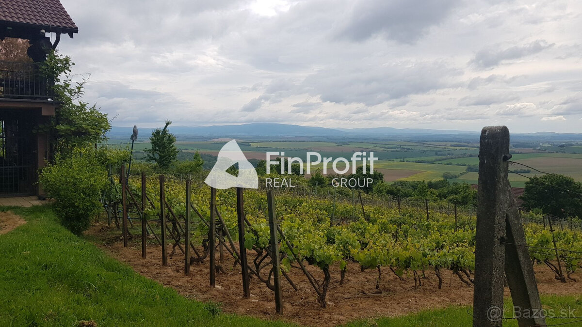 Prenajmem vinohrad v Koliňanoch pri Nitre. - 3