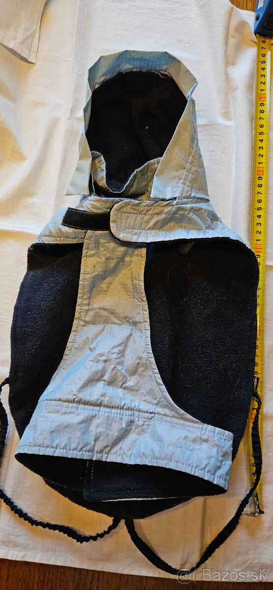 Kabatik na maleho psa - 3