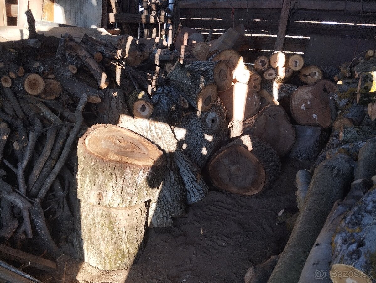 Orechové drevo-kmene palivové, kvalitné,už väčšie množstvo - 3