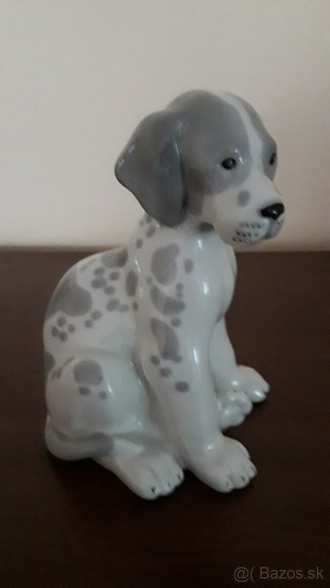 Dvojica psov a 1 pes - 3