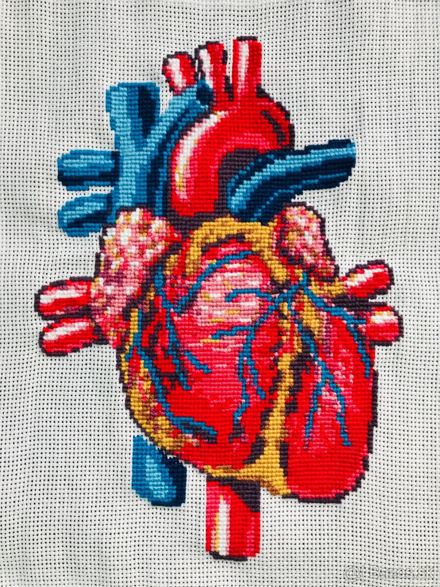 Krížiková výšivka/ obraz Anatomické srdce - 3