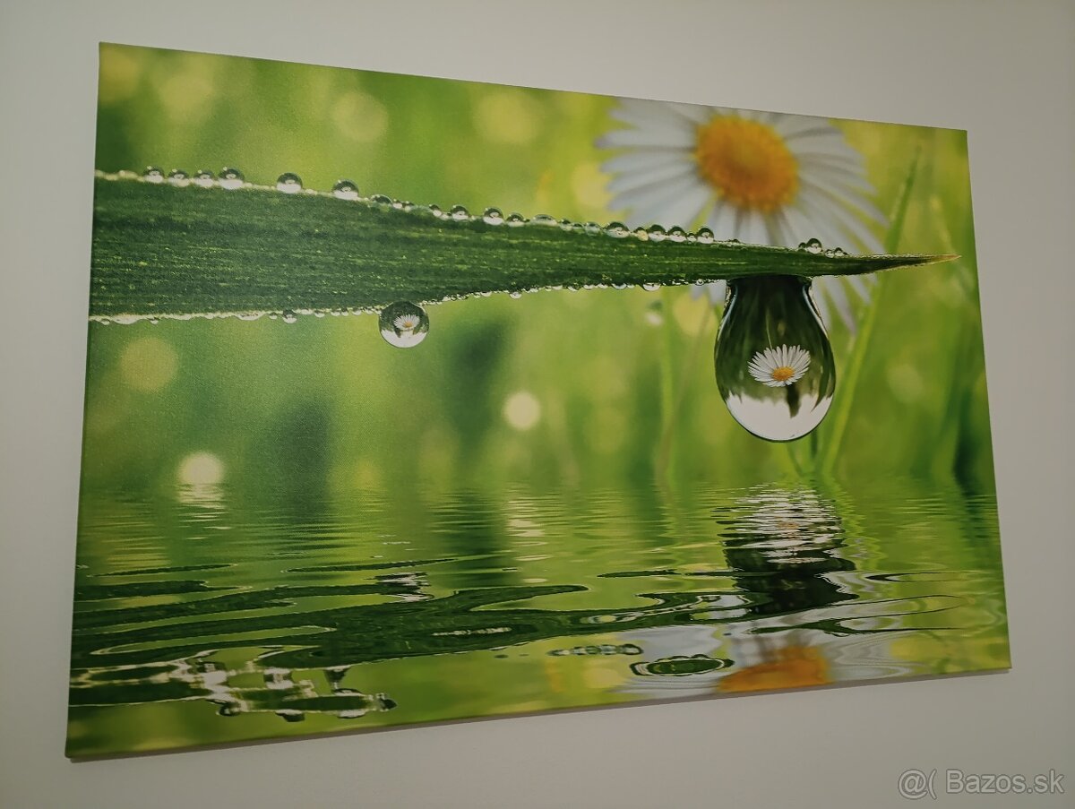 Obraz na plátne - 3