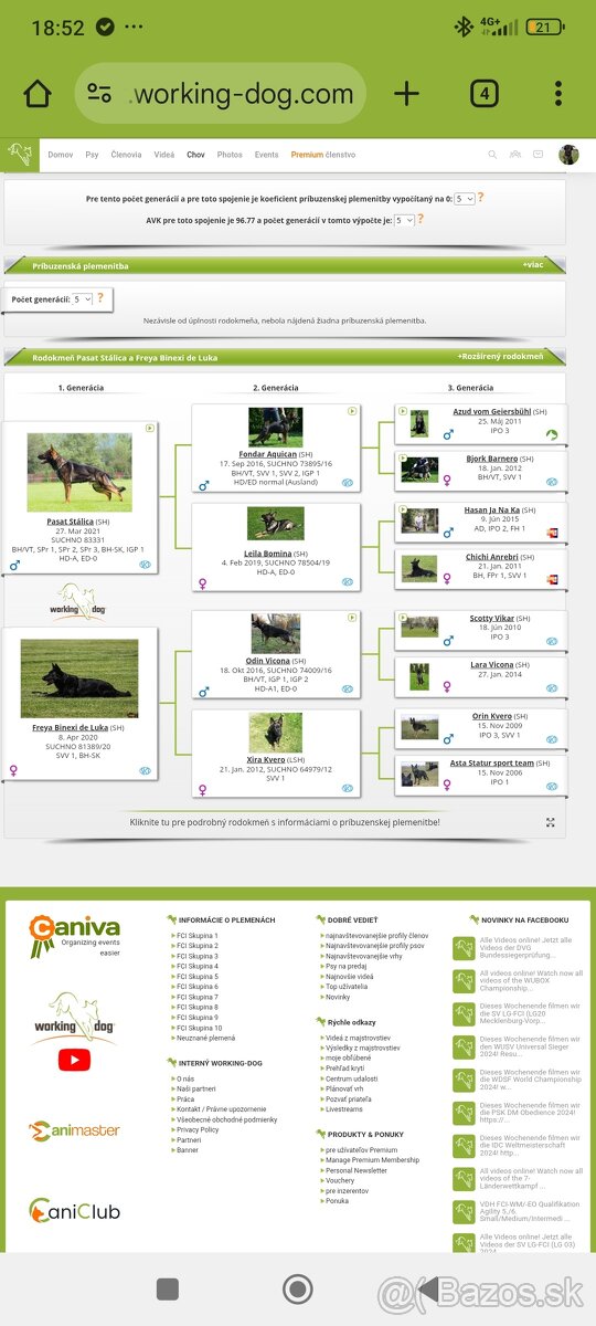 Nemecký ovčiak s PP - 3