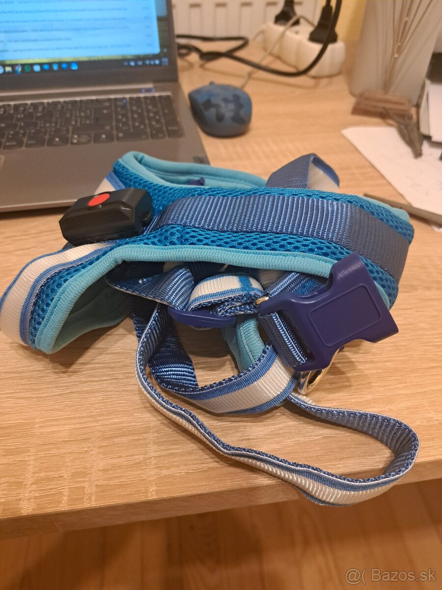 LED svietiaci postroj pre psa - XL, modrý - 3