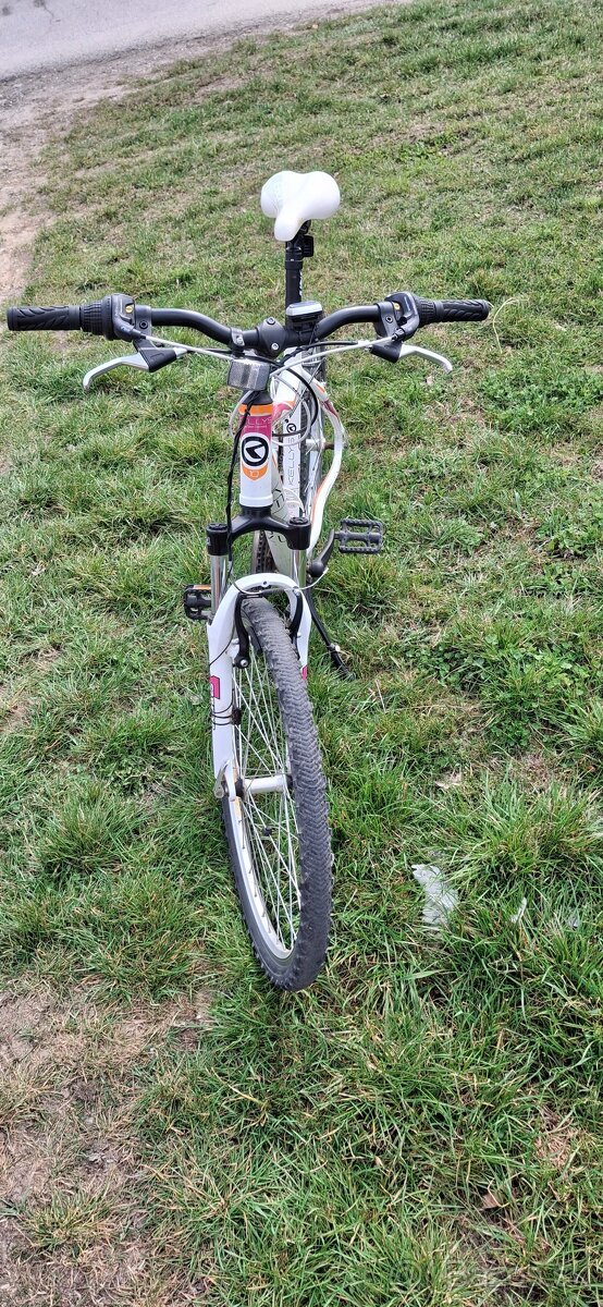 Kellys Vanity 10 - 3