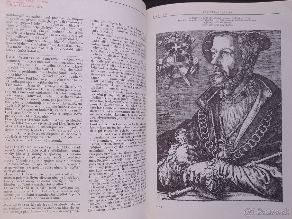 Anatomie pro výtvarníky - 3