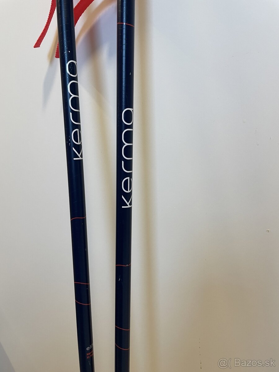 lyžiarske paličky 105cm - 3