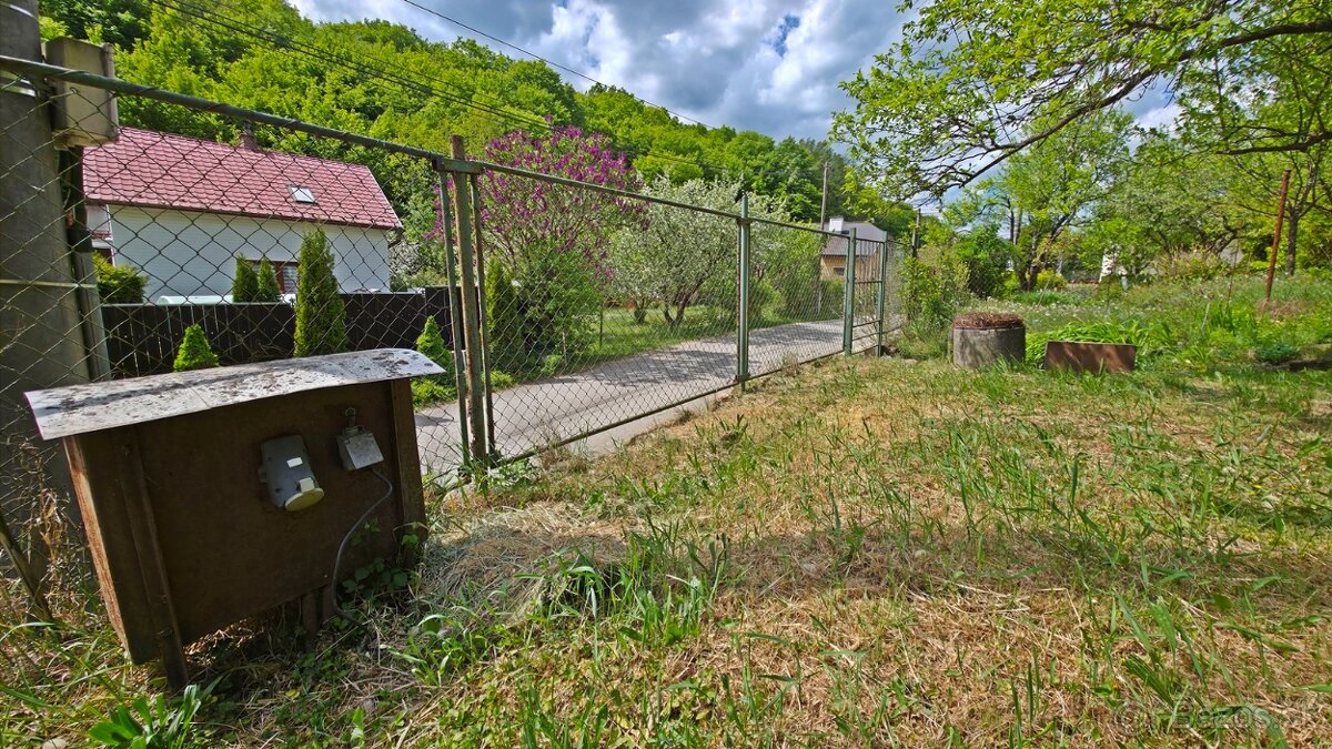 Fotografia 3