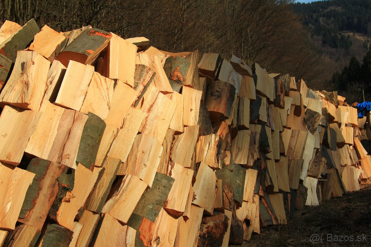 PALIVOVE DREVO BUK - 3