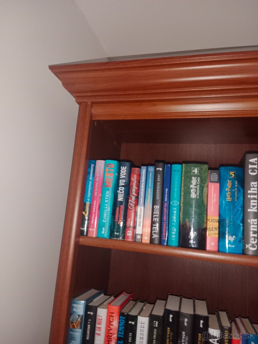 Knižnica v štýle aramis - 3