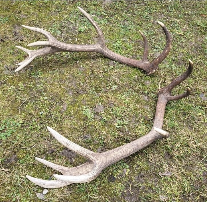 Parozie.patohy.zhody.trofeje - 3