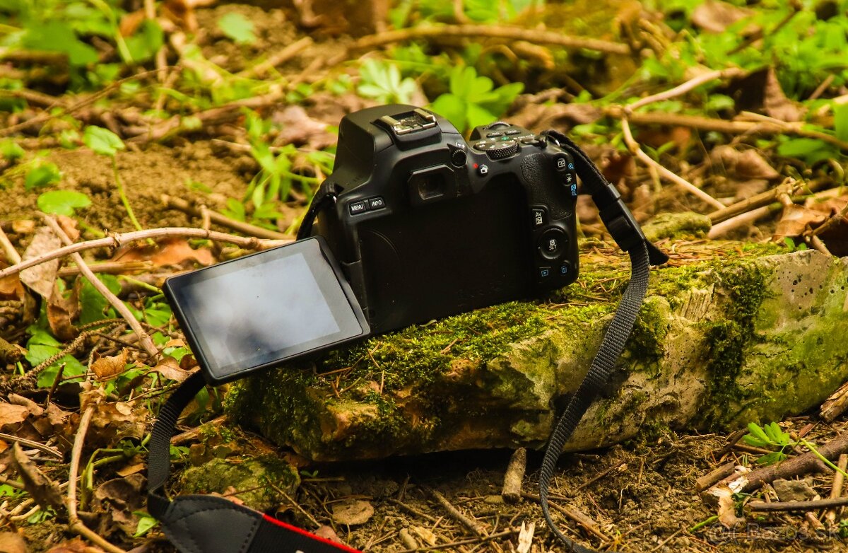 Canon eos 250D - 3