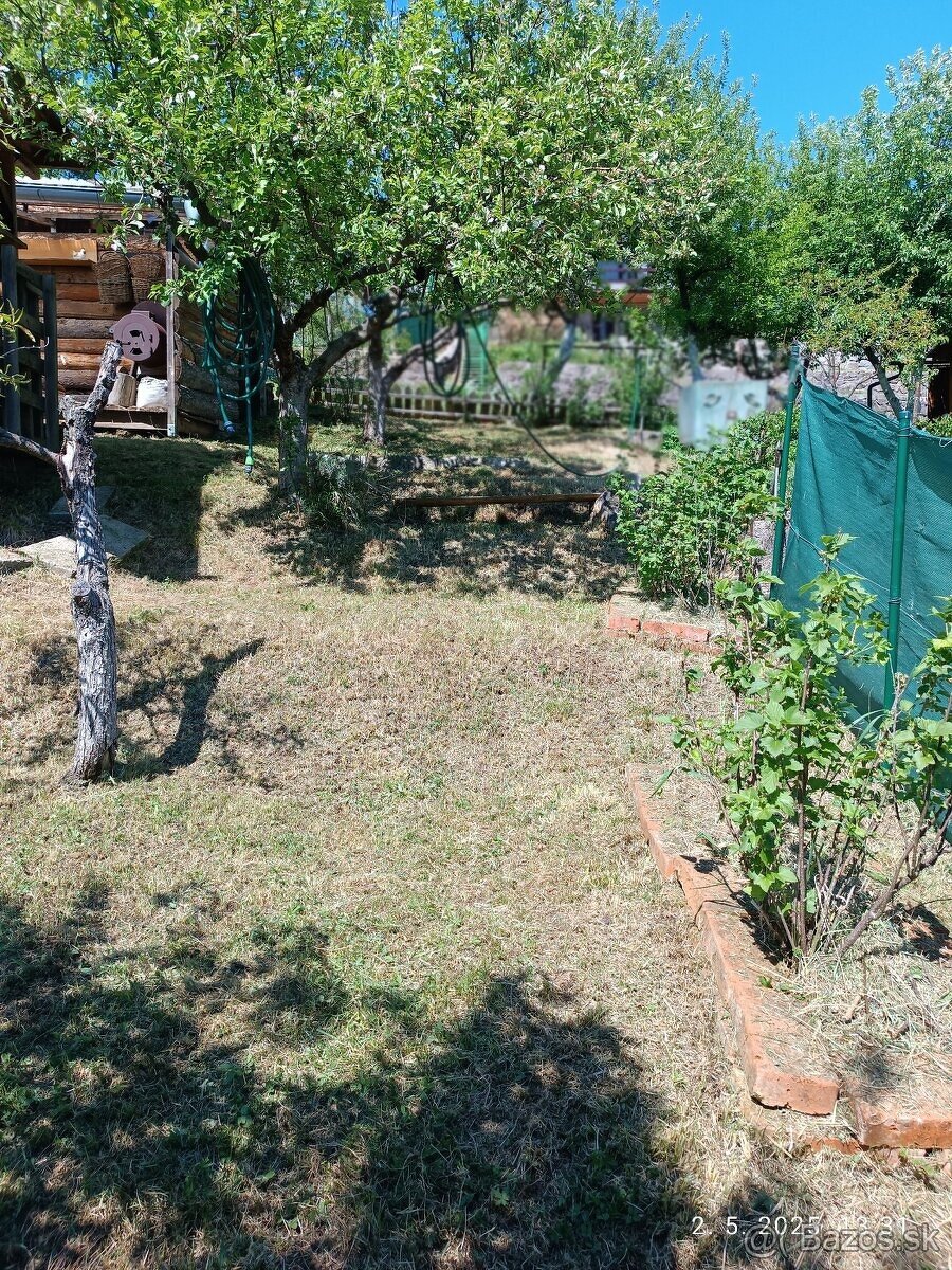 na predaj záhrada s chatkou v sade 600 ročnice - 3