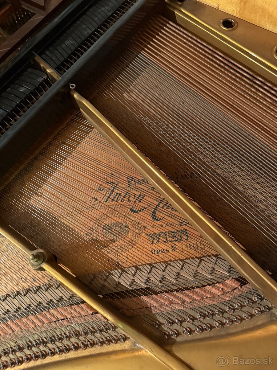 Klavír 1905 - 3