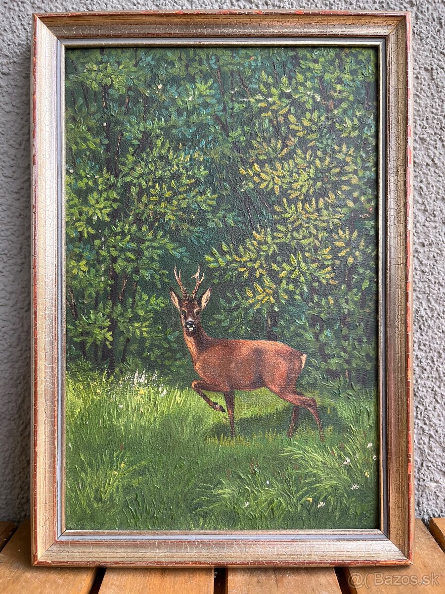 Obraz Jeleň v lese - 3