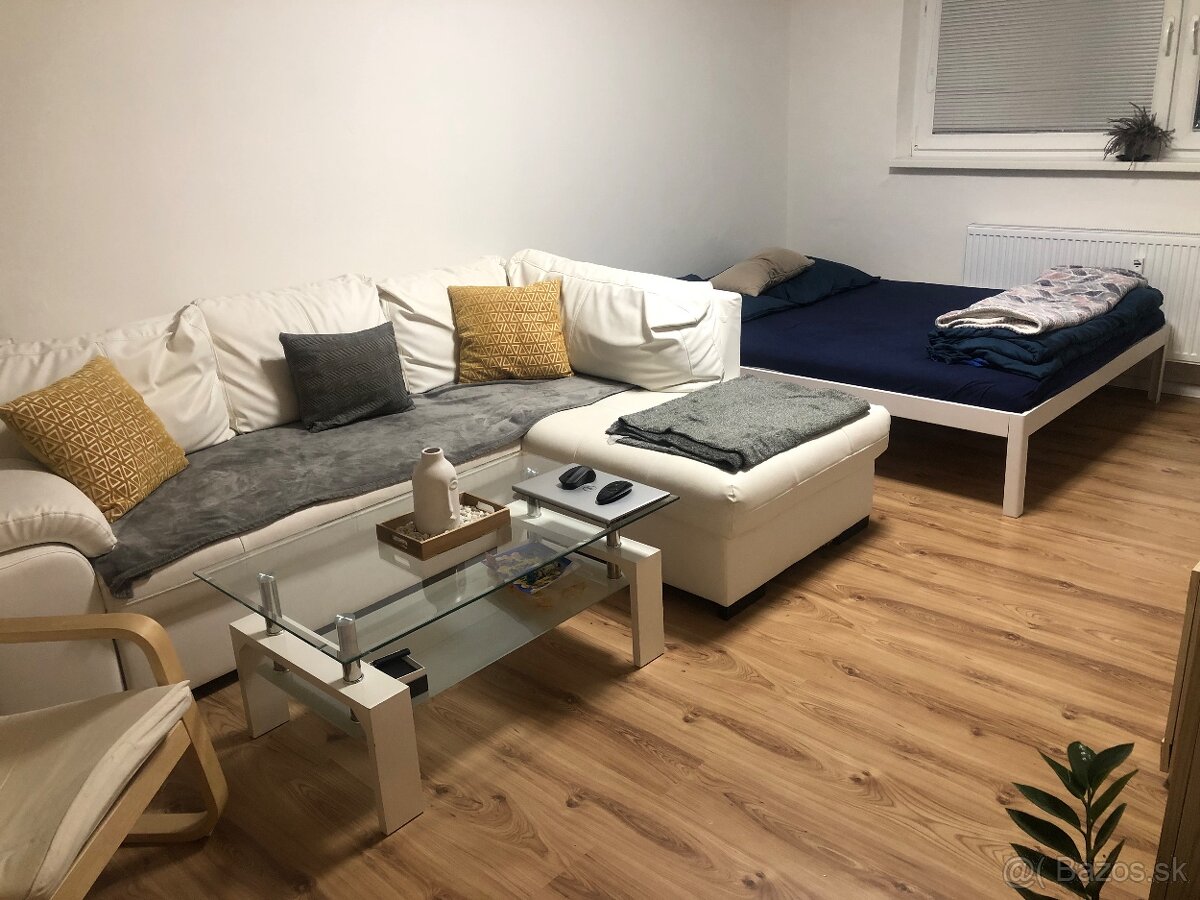 Prenájom 1-izboveho bytu - 3