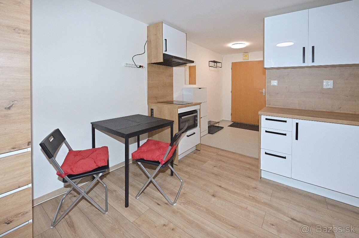 VEĽKÁ REKONŠTRUOVANÁ GARSÓNKA, SUPER DOSTUPNOSŤ DO CENTRA BA - 3