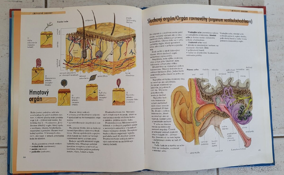 Ľudské telo encyklopédia - 3