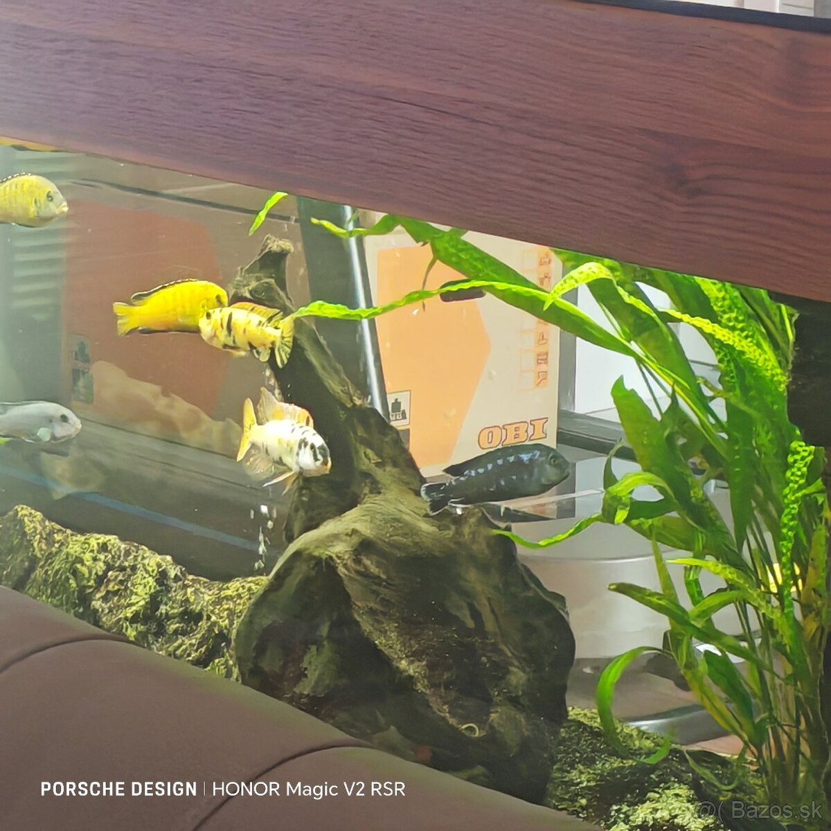 Akvárijny komplet - 3