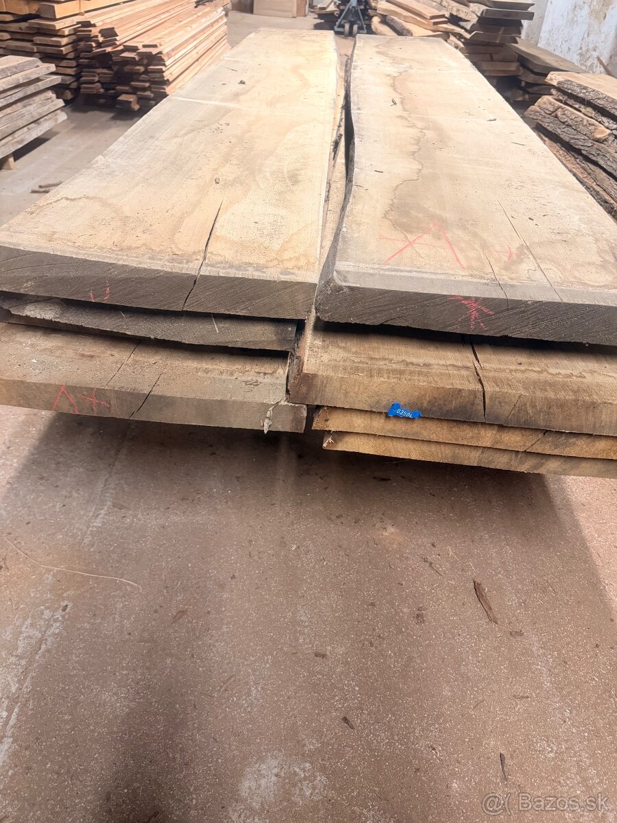 Dubové foršne Ačkove - 3