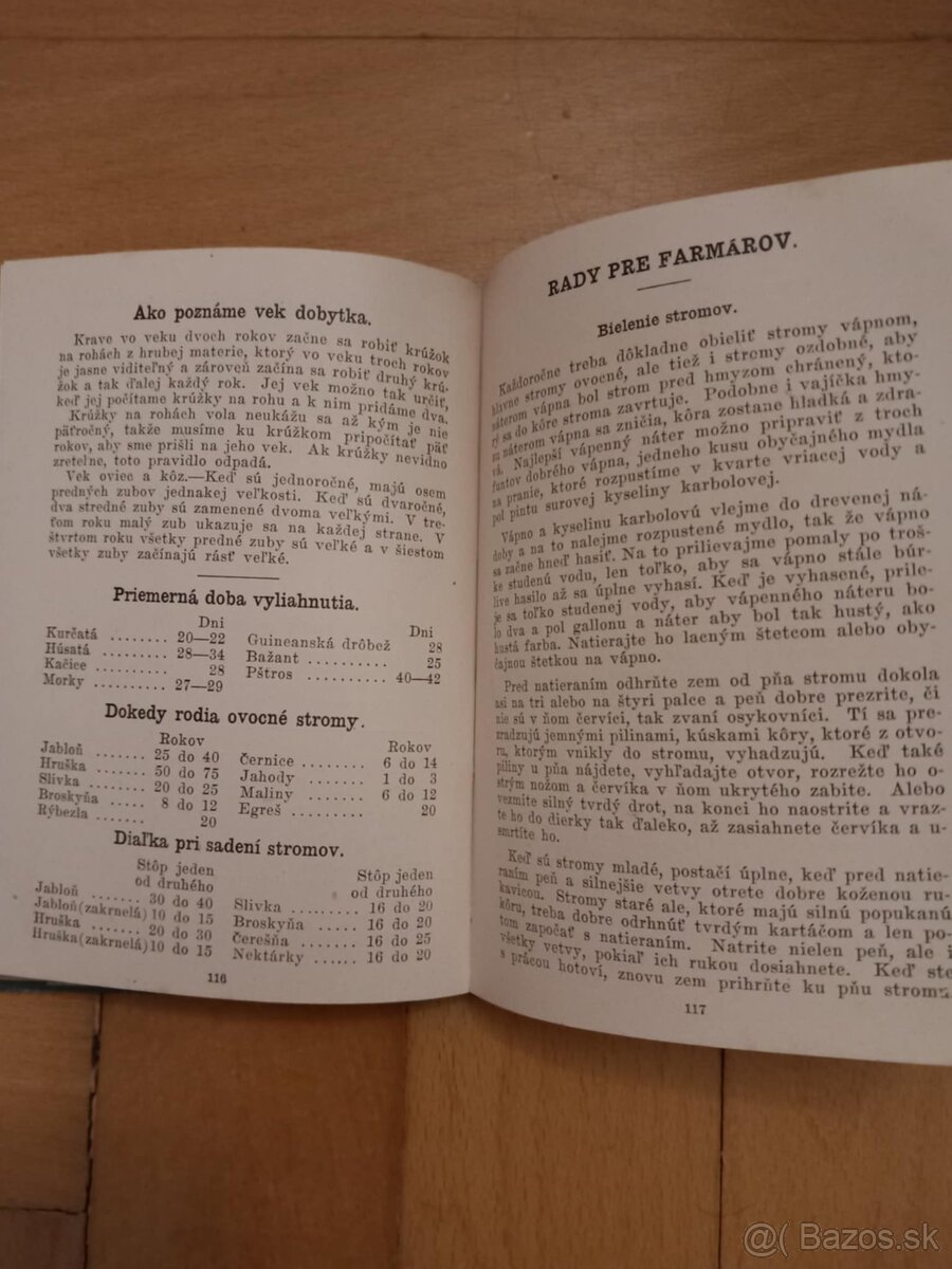 SLOVENSKO AMERICKÝ vreckový kalendár 1918 - 3