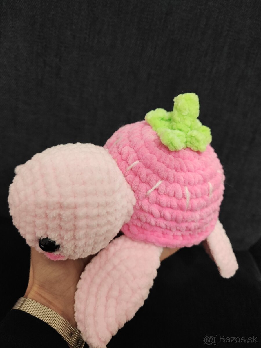 Háčkovaná korytnačka - 3