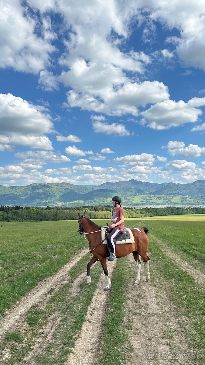 ✨ HĽADÁME PARŤÁČKY KU KOŇOM ✨ - 3