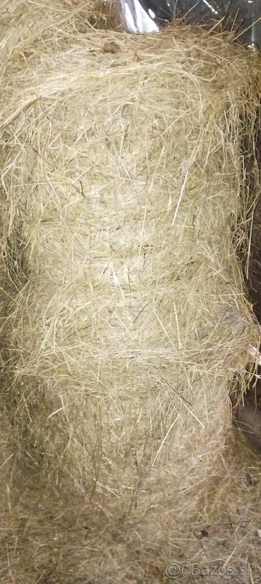Lúčne seno - 3