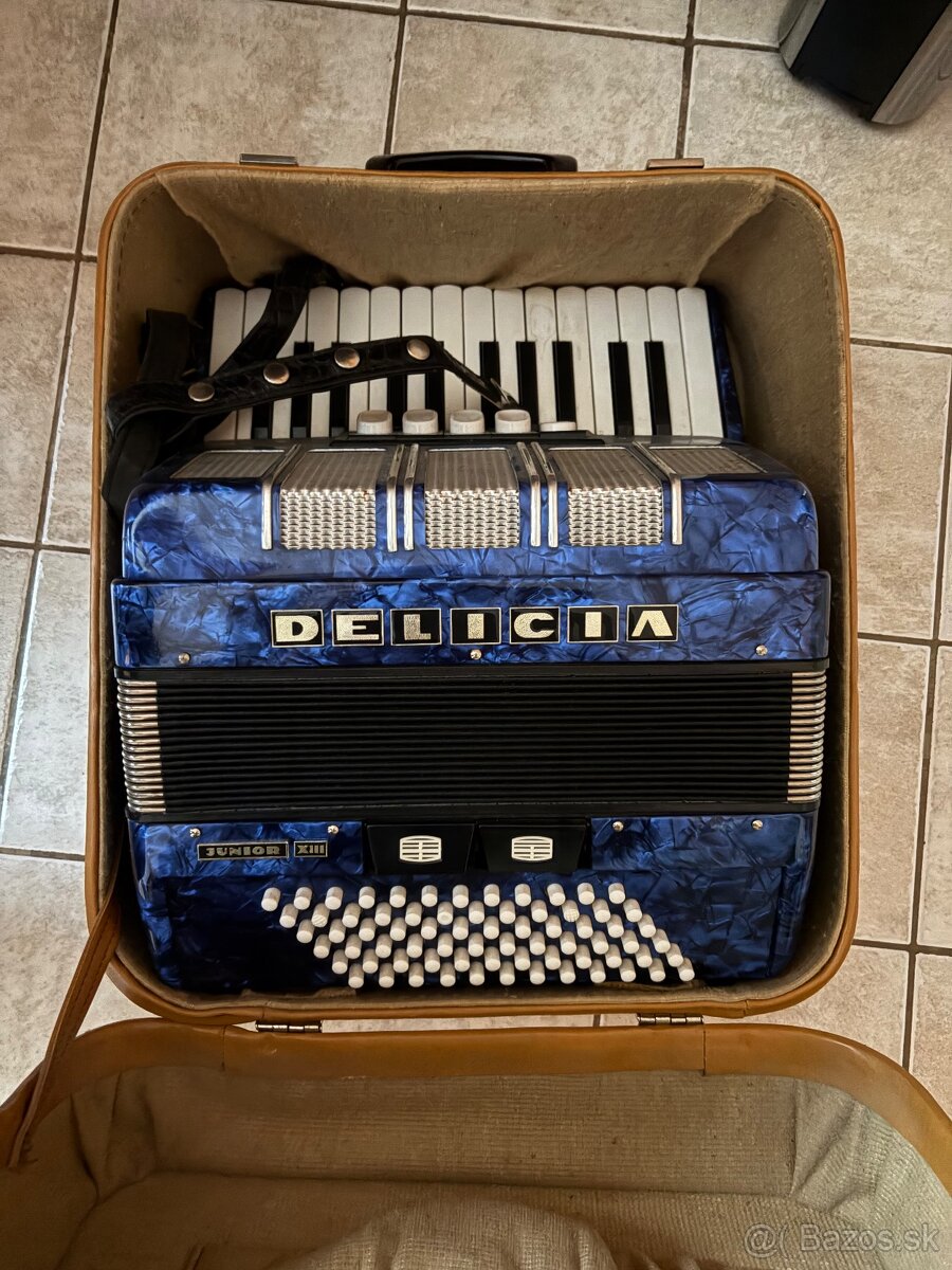 Delicia junior 13 1988 - 3