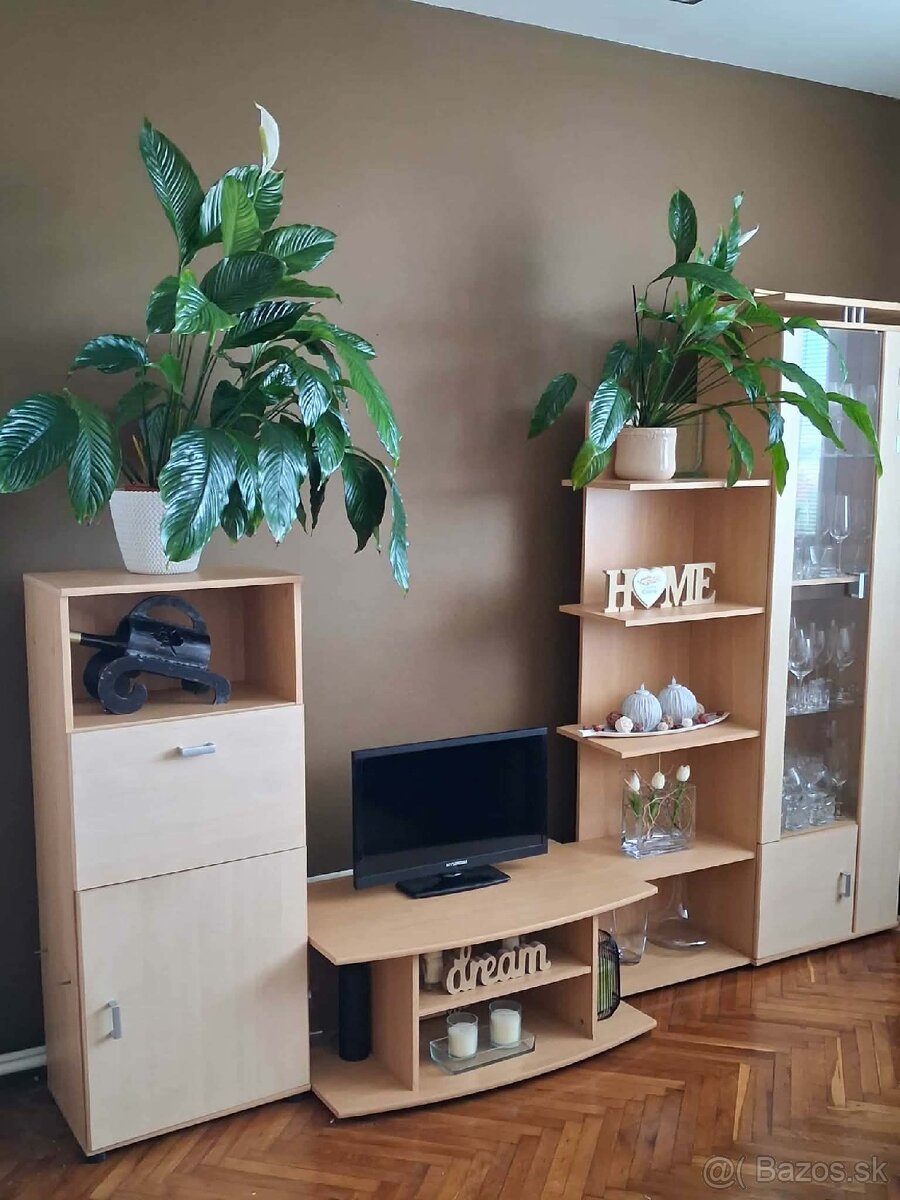 Obývačková zostava / obývacia stena - 3