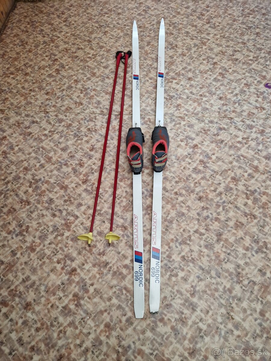 Bežky,palice,topánky Artis Nordic - 3