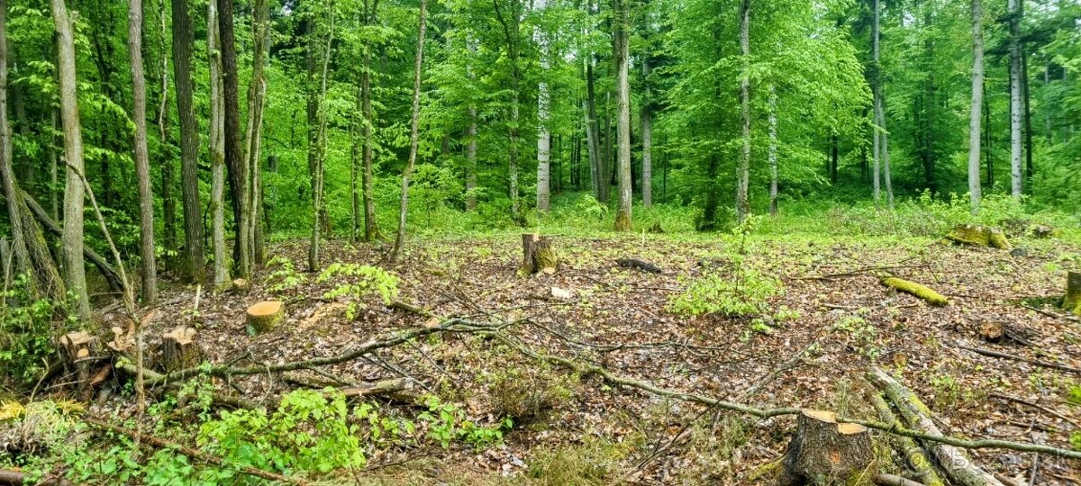 Predaj investičného pozemku v rekreačnej oblasti Kováčová. - 3