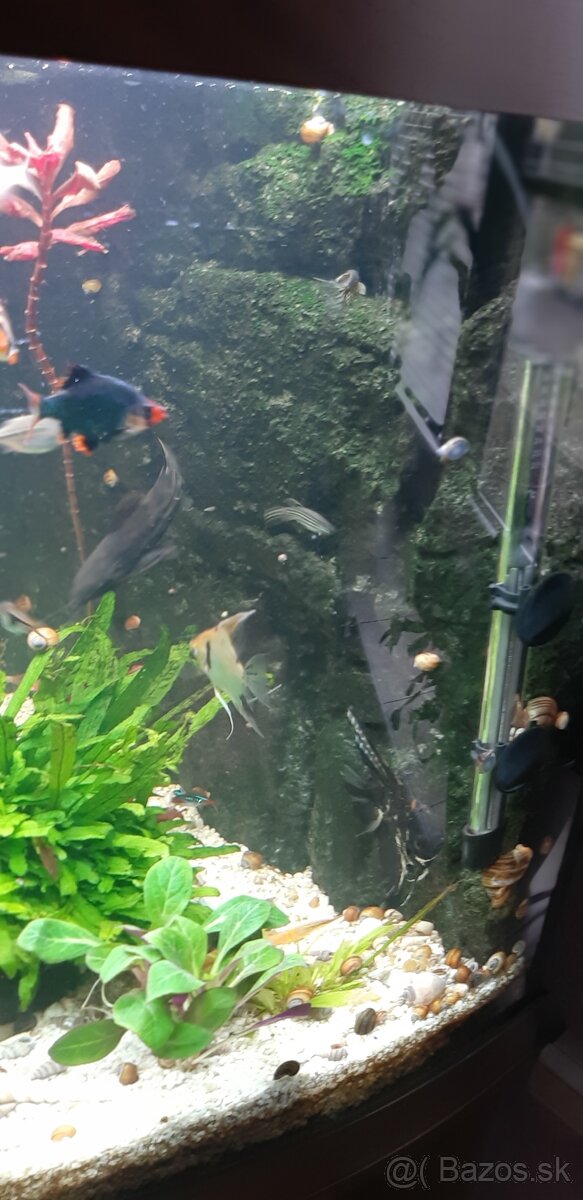 Akvárium Juwel 140 - 3