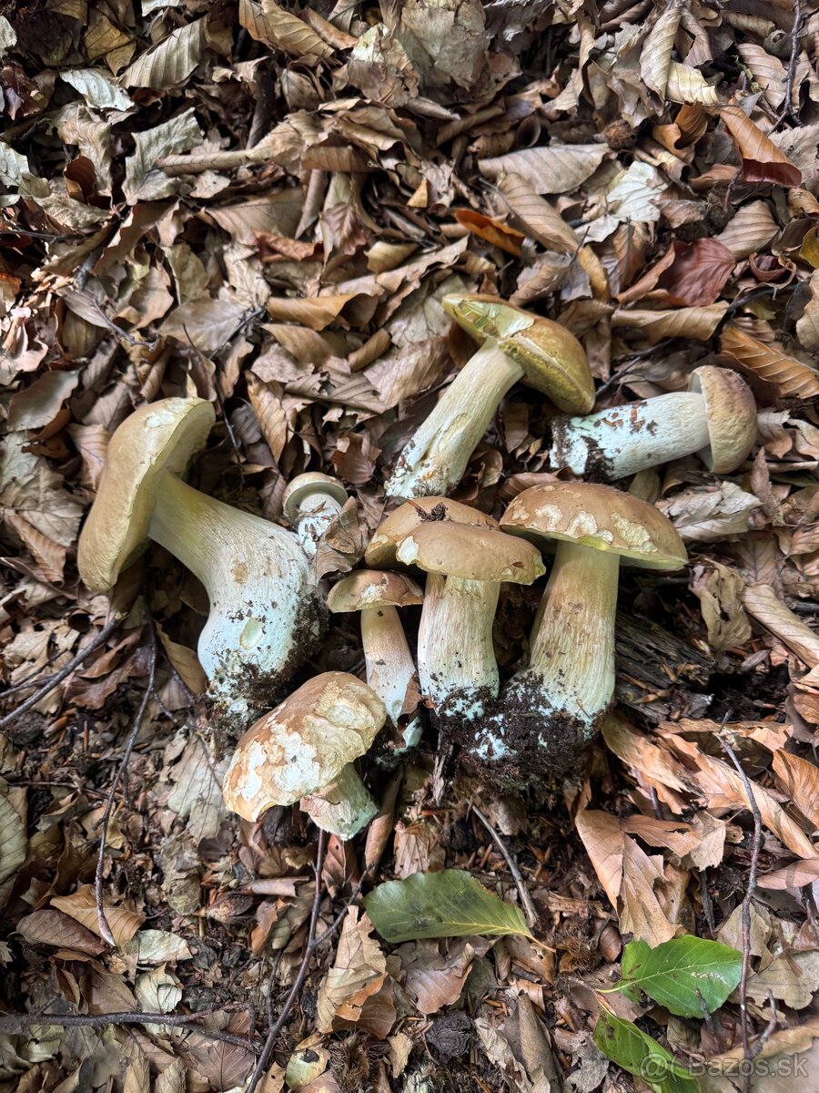 Dekorácia ,ingrerdiencie suchučke a vonave. - 3