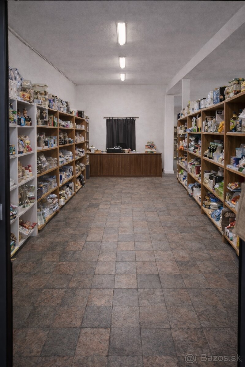 Priestory na prenájom Dolné Obdokovce - 3