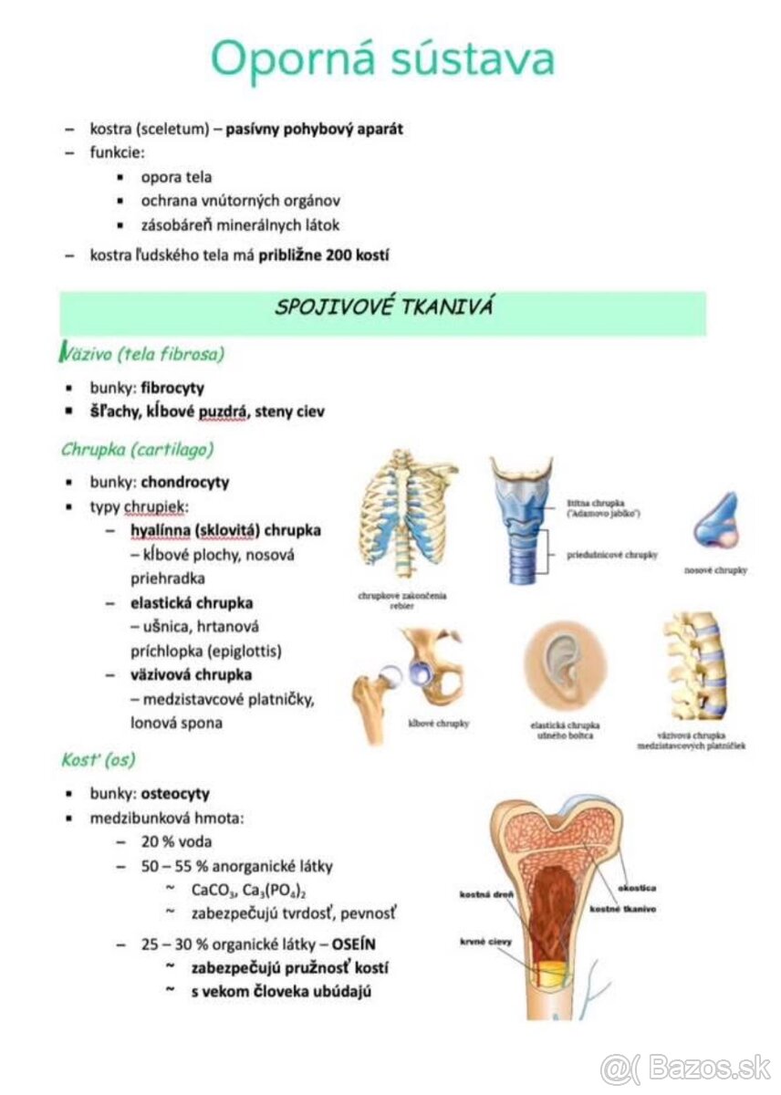 LF UPJŠ - prijímačky - 3