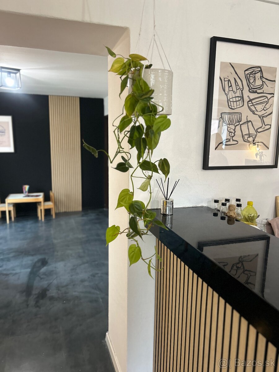 Odstúpenie reštaurácie - 3