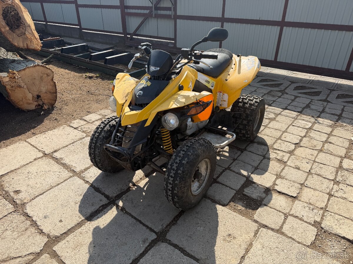 Can am ds250 - 3