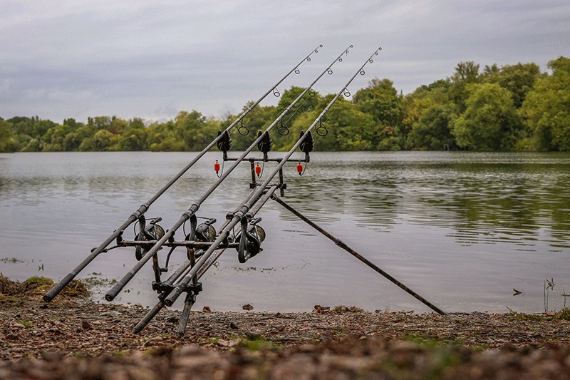 FOX HORION 2,75LB 12FT - 3