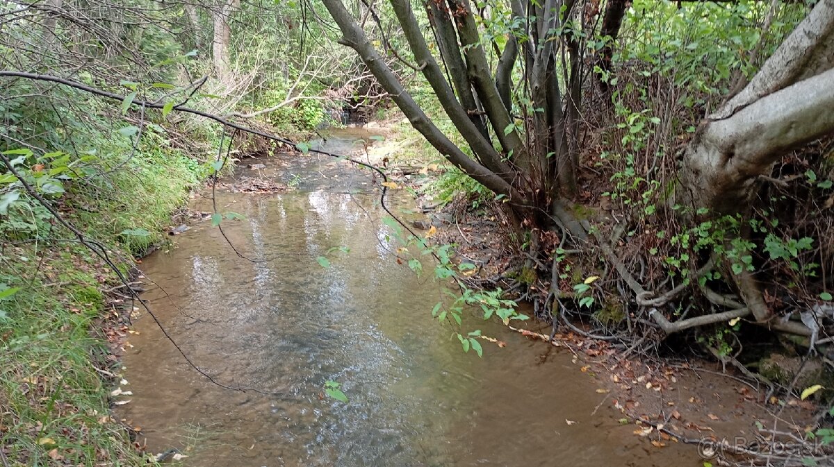 Stavebný Pozemok Liesek - 3