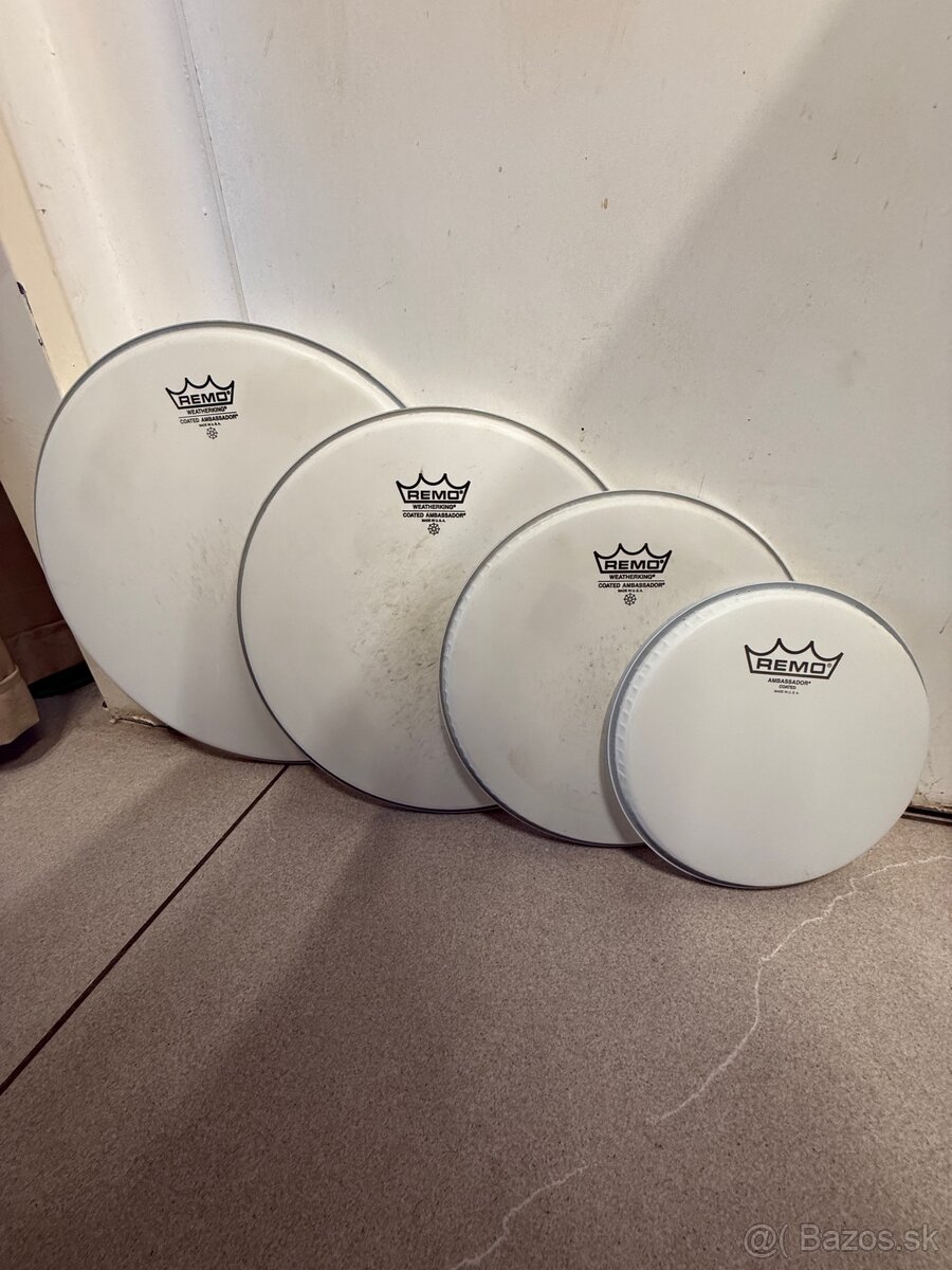 REMO Ambasador Coated +8” blana nová - 3