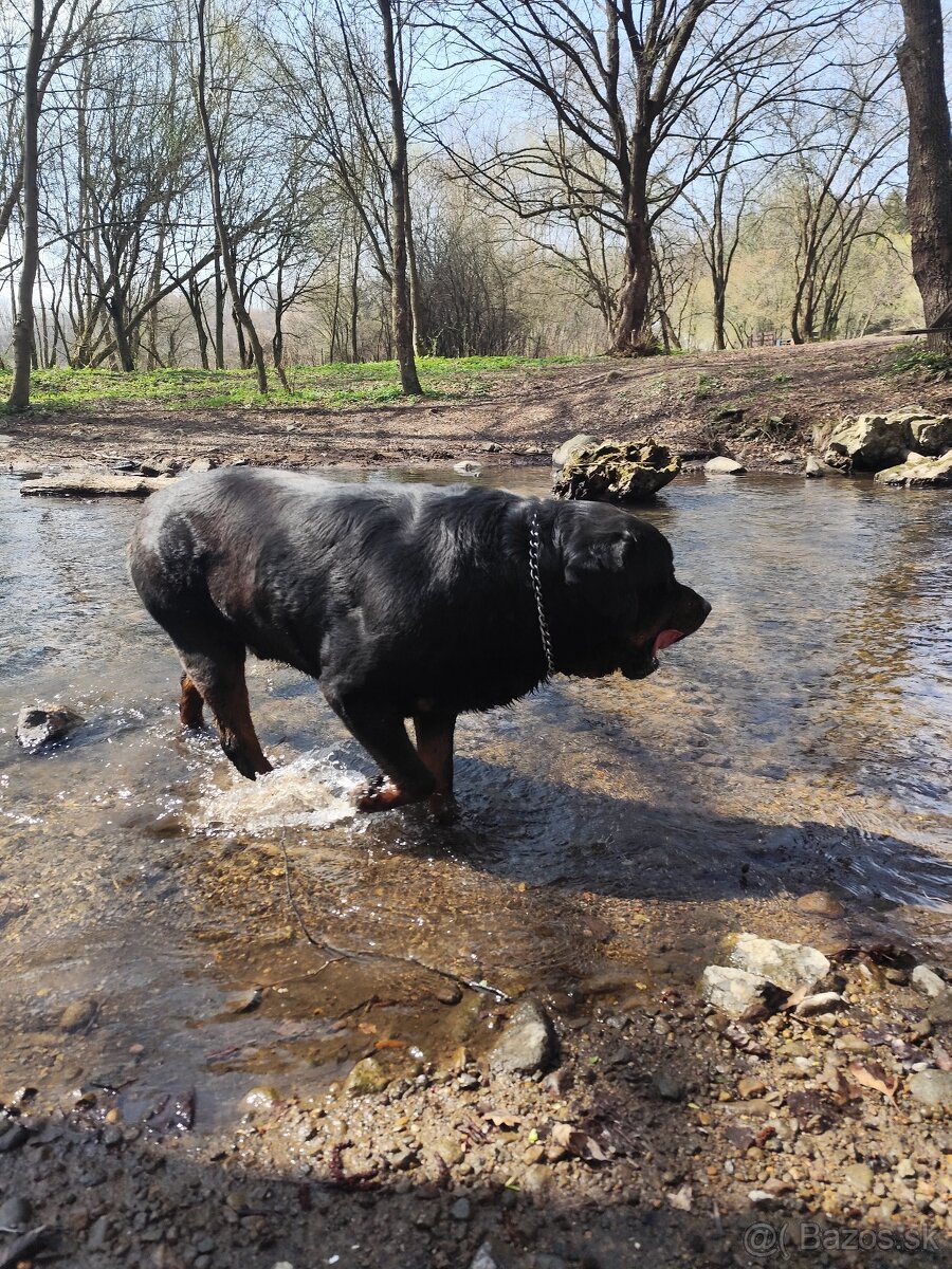 Rotvajler na krytie - 3