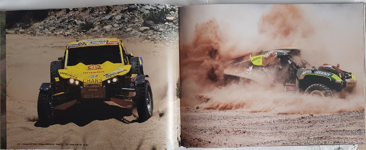 Rally DAKAR 2010 - 3